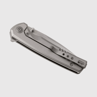 WE Knife Subjugator 20CV Titanium Gray