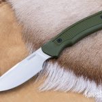 kershaw-d-skinner-1883__53001