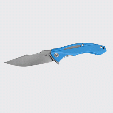 Нож CH KNIVES 3519 D2 G-10 Blue