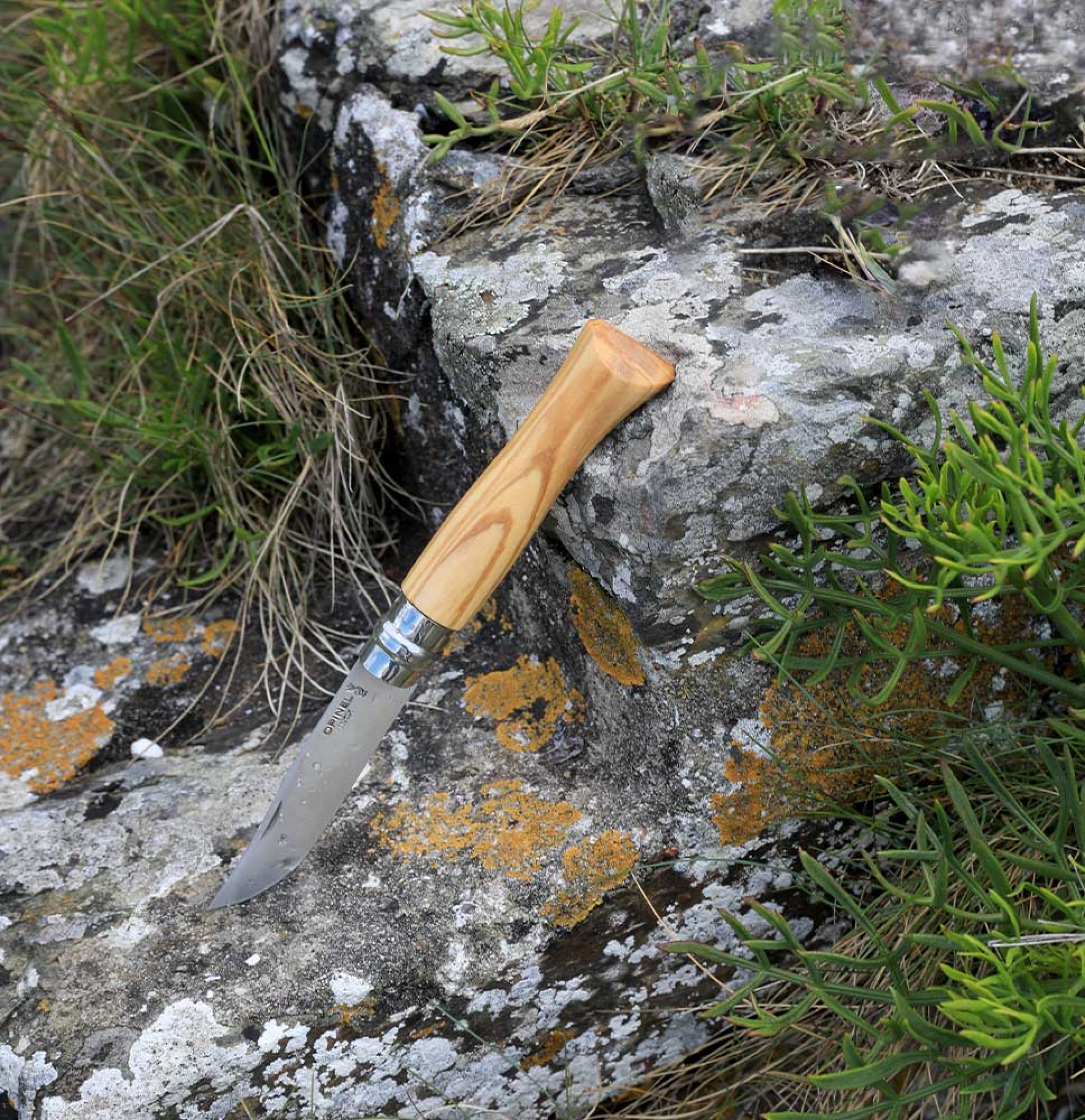 c64d4a120c6d7757463acf15d98b (1)