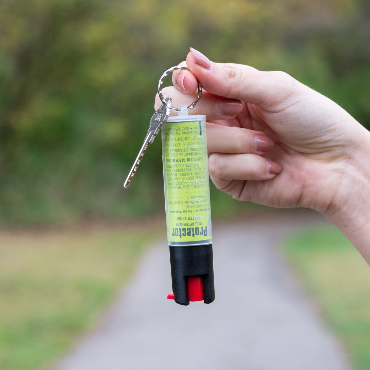 zlqww6q3myjeqg7ndb9l__92031