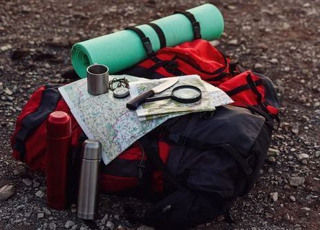 Качествен кит за оцеляване