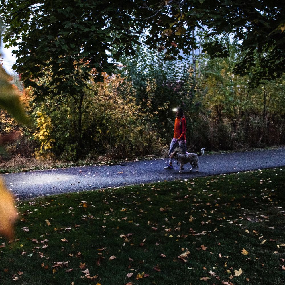 hf4r-core-ledlenser-7