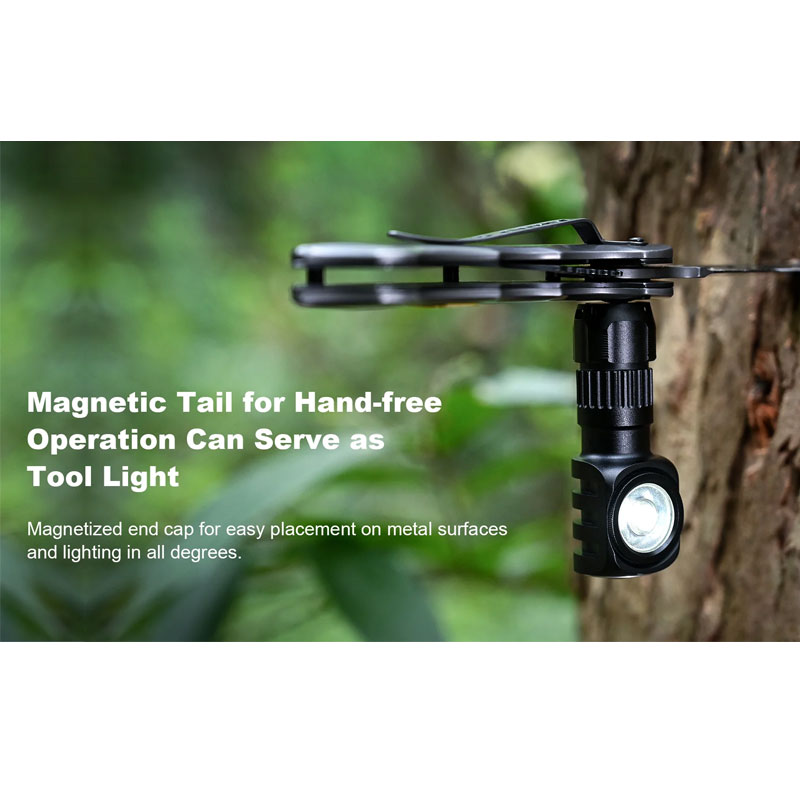 сегтерг-рег