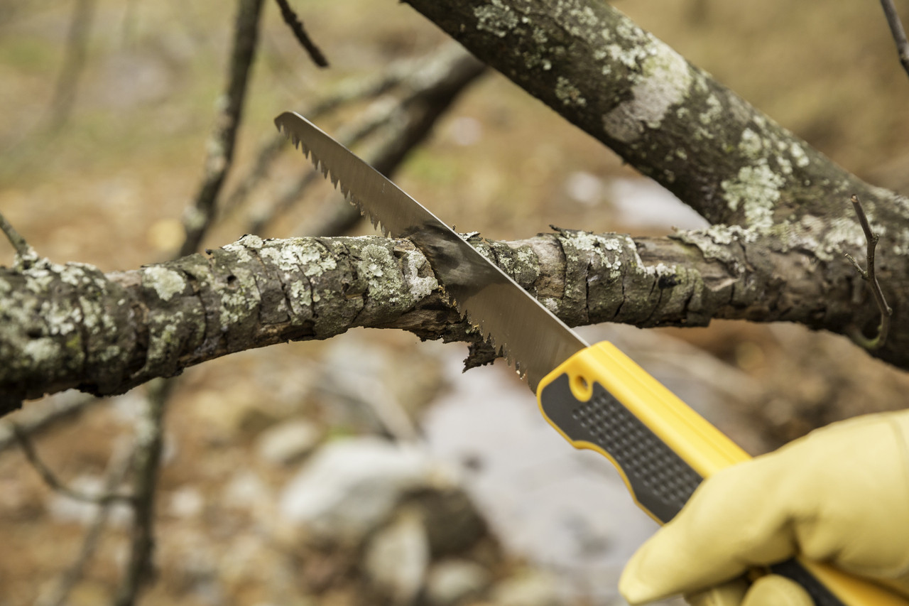 qqujgswlae3ocdhgq2qg__19620