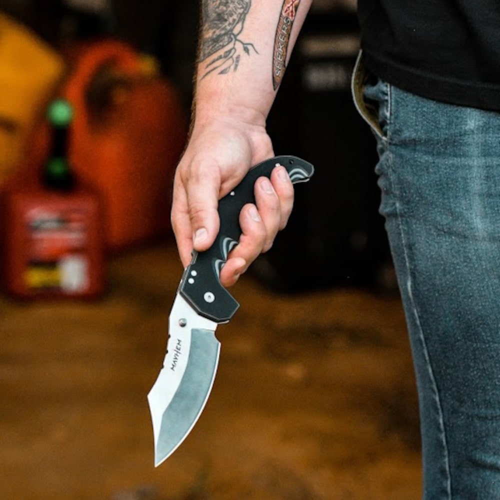 Mayhem_Alt_Image-min__30745