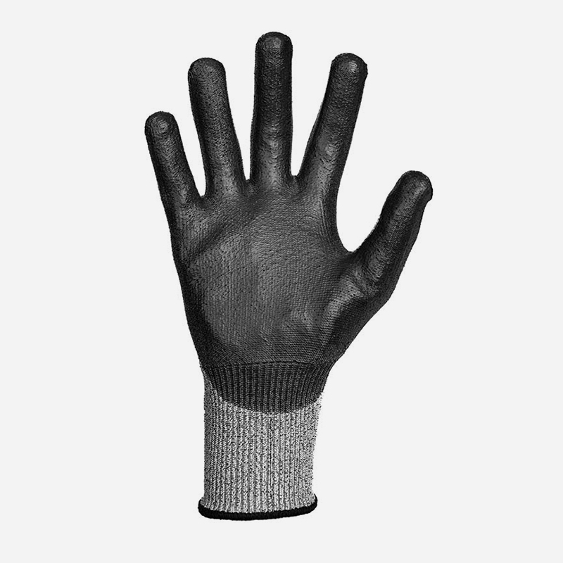 MoG Guide CPN 6225 2