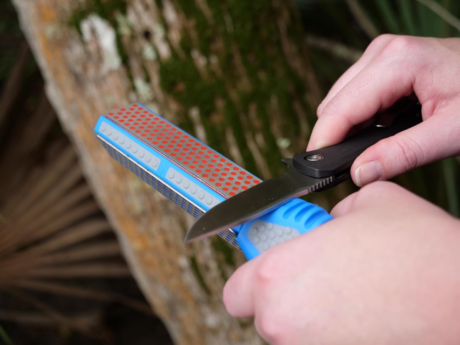 71x5vIBPTxL._AC_SL1500_