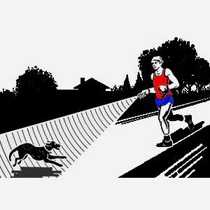 KII Enterprises Logo