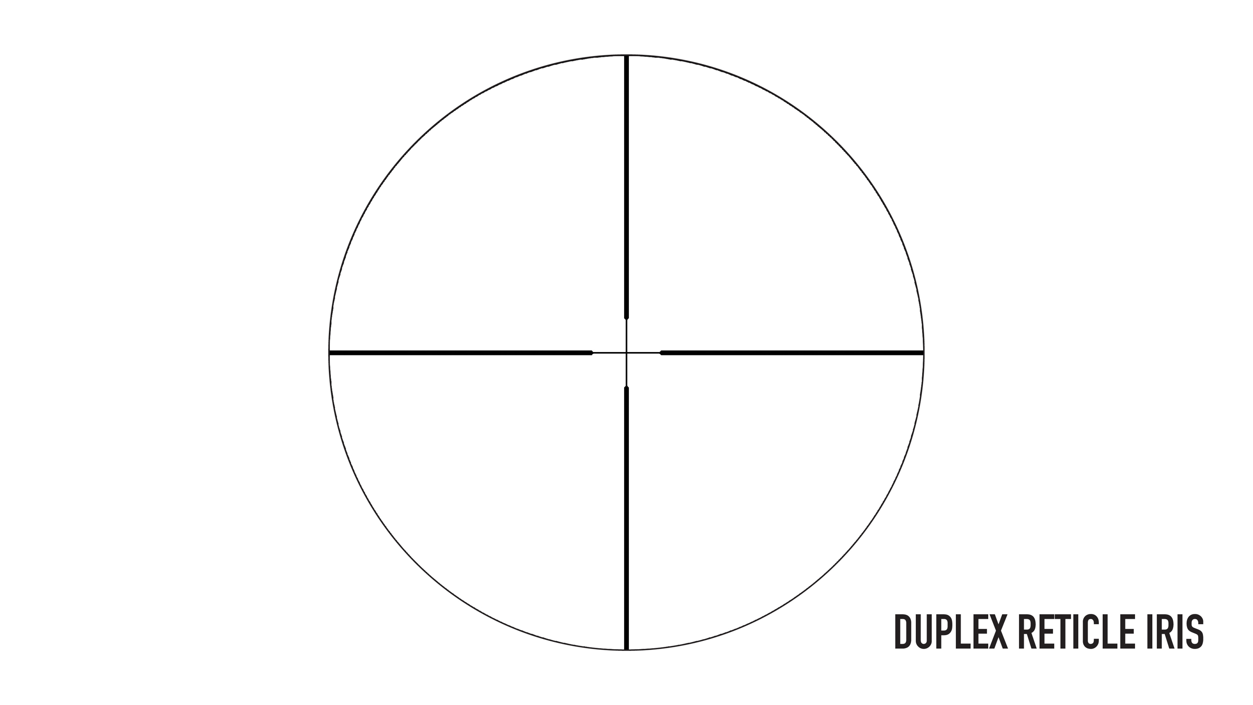 October ’24 Updates