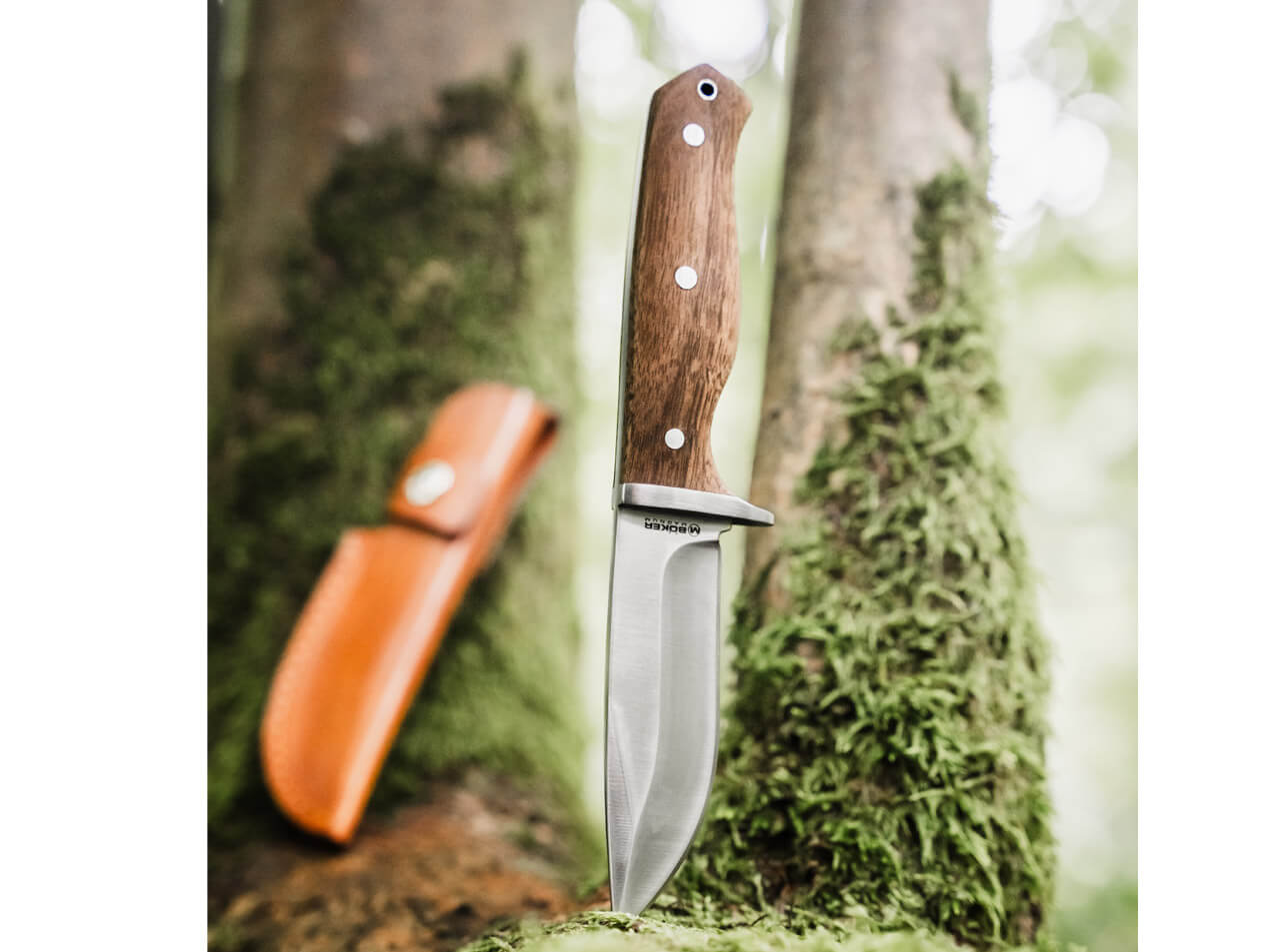 Boker Magnum Walnut Drop 4