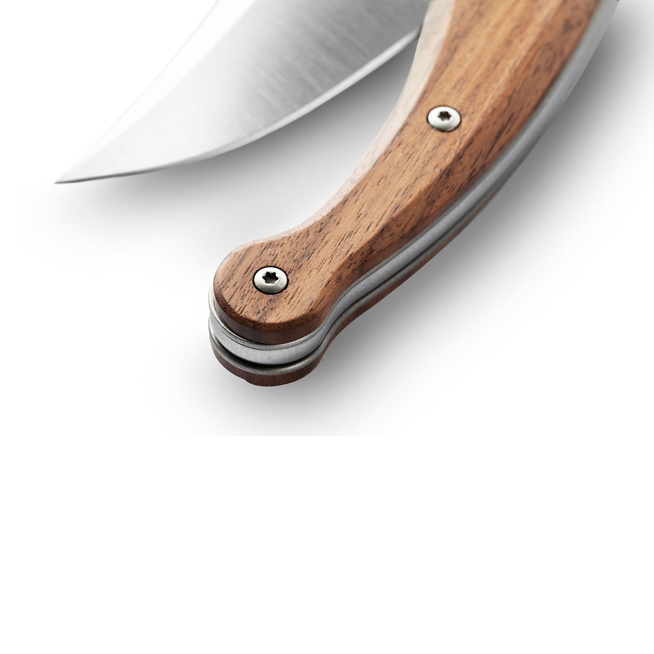 LionSteel Gitano Santos Wood 4