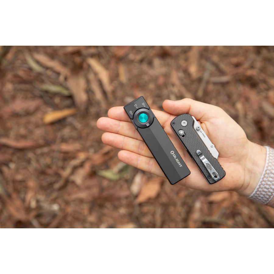Olight ArkPro Light 24