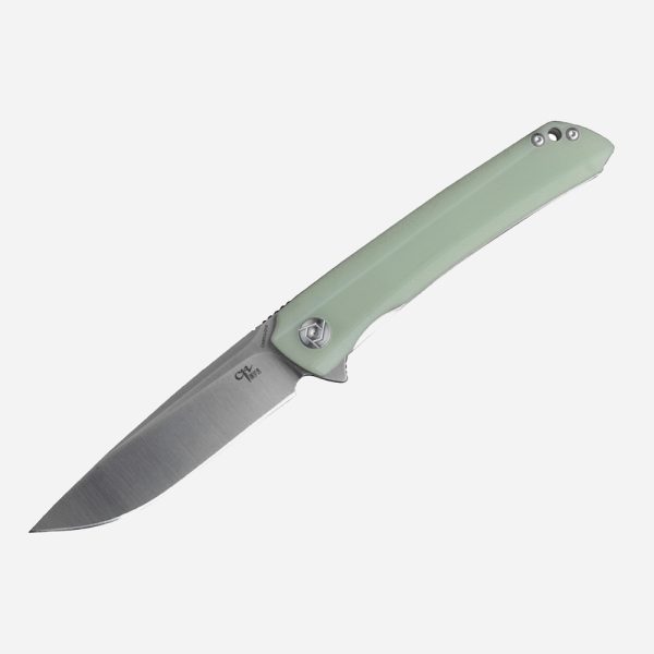 Нож CH KNIVES 3002 D2 G-10 Green