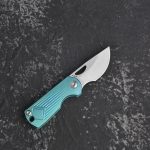 Нож CH KNIVES Toad D2 Titanium Green